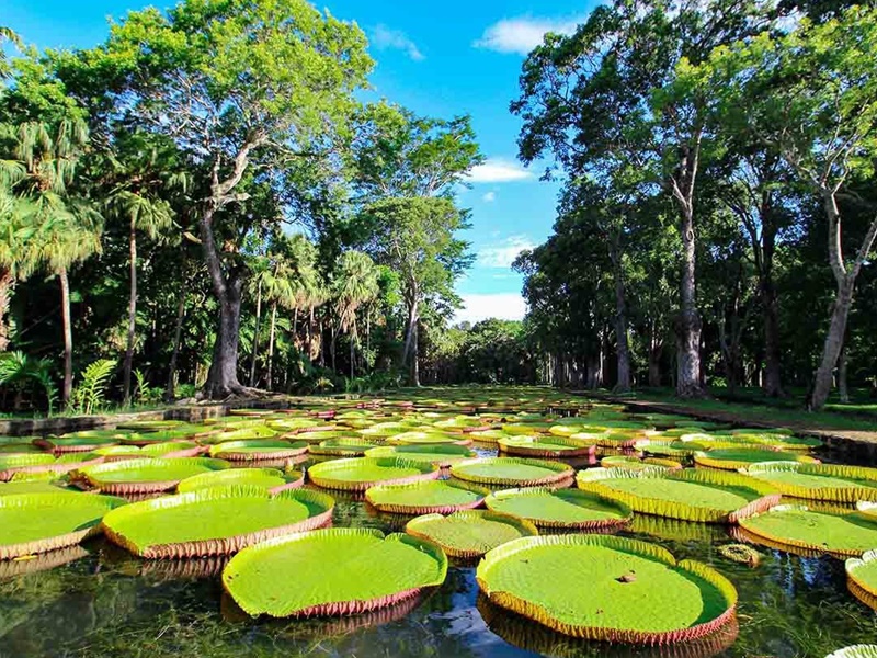 Mauritius excursion